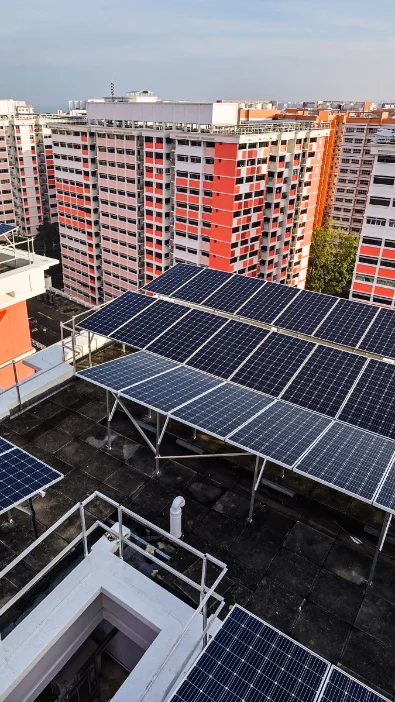 Aerial condition survey of a rooftop solar panel array